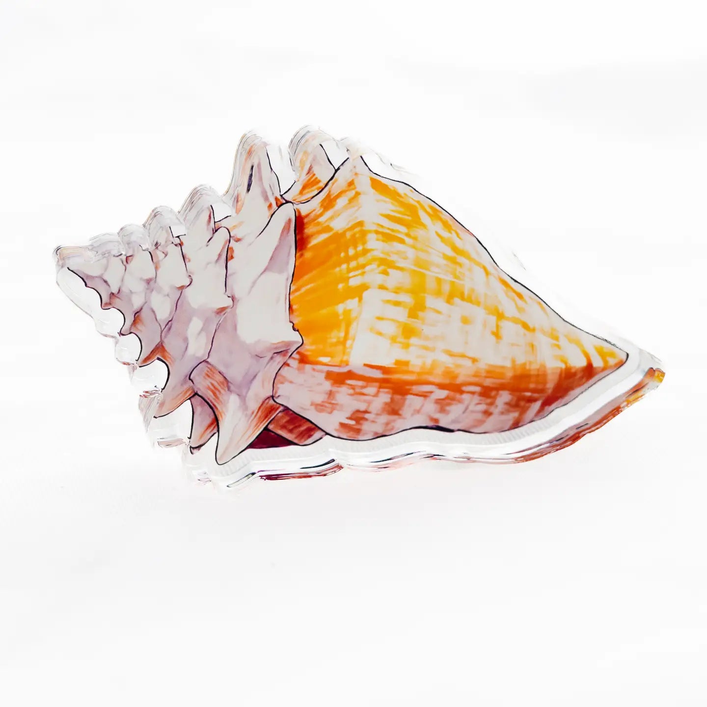 Acrylic Napkin Holder with Shell Weight
