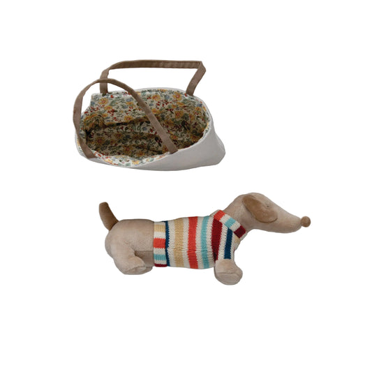 Dachshund in Dog Carrier