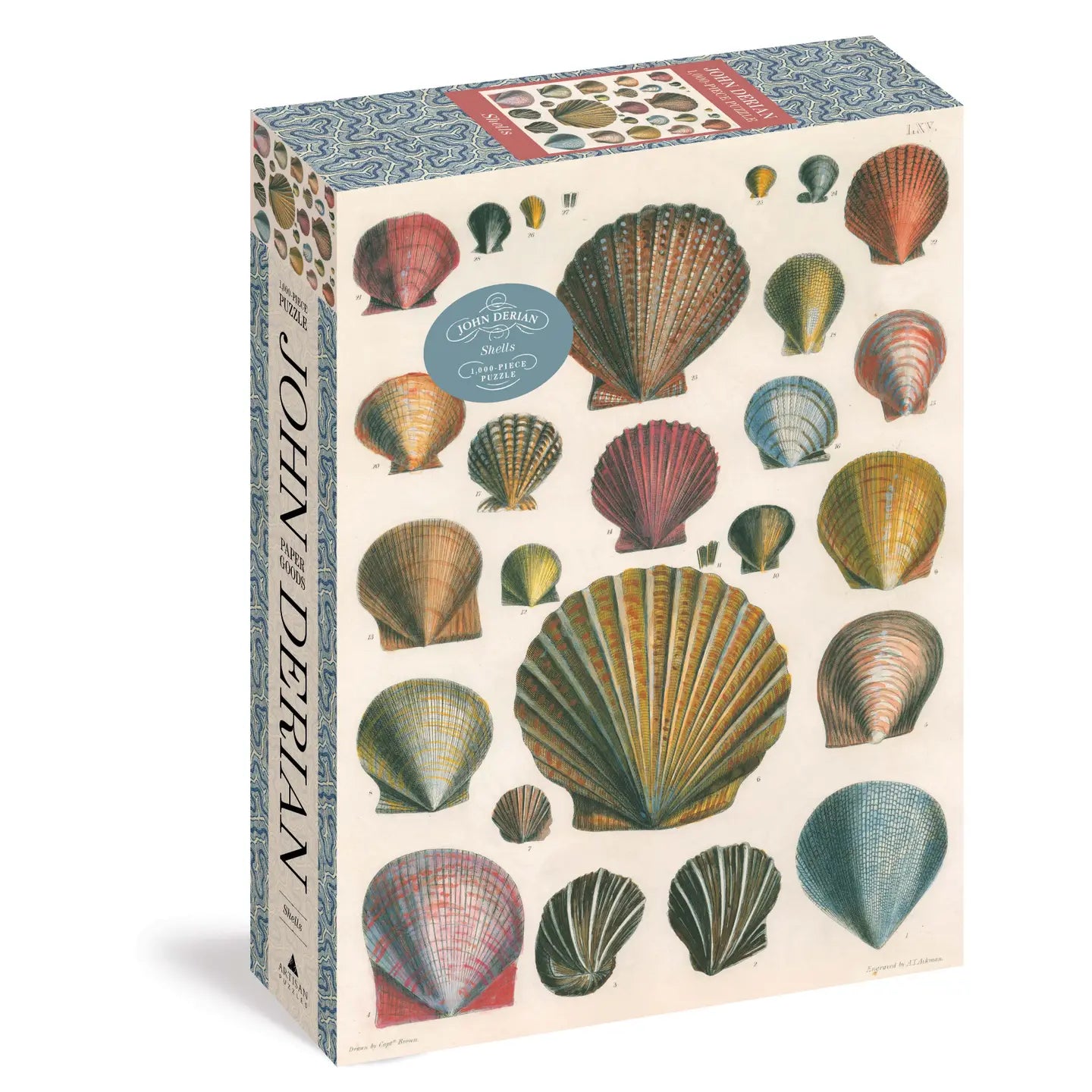 John Derian Shells Puzzle