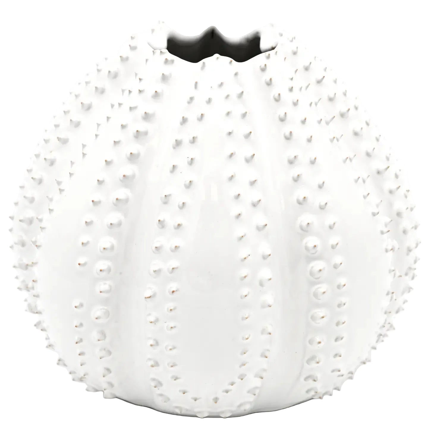 Sea Urchin White Vase- Medium