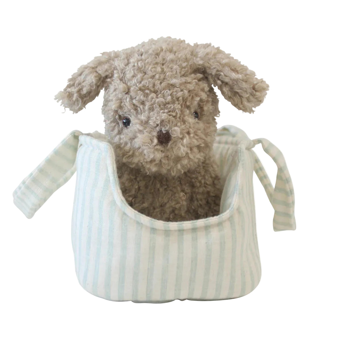 Biscuit the Puppy and Carrier