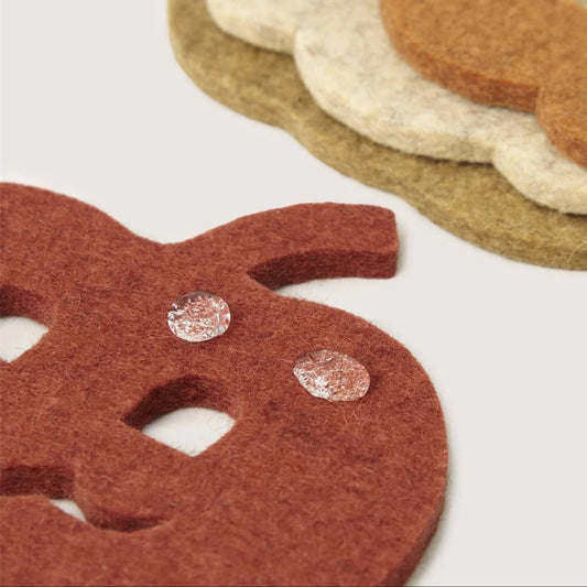 Pumpkin Felt Coasters