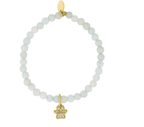 Amazonite Beaded Paw Charm Bracelet