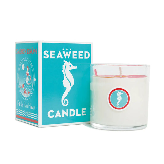 Seaweed Candle