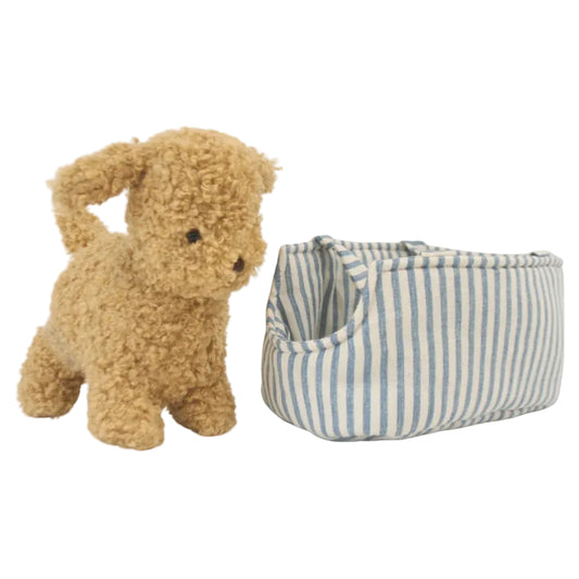 Toffee the Puppy and Carrier