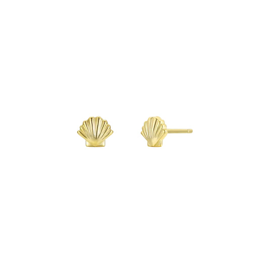 Seashell Earrings
