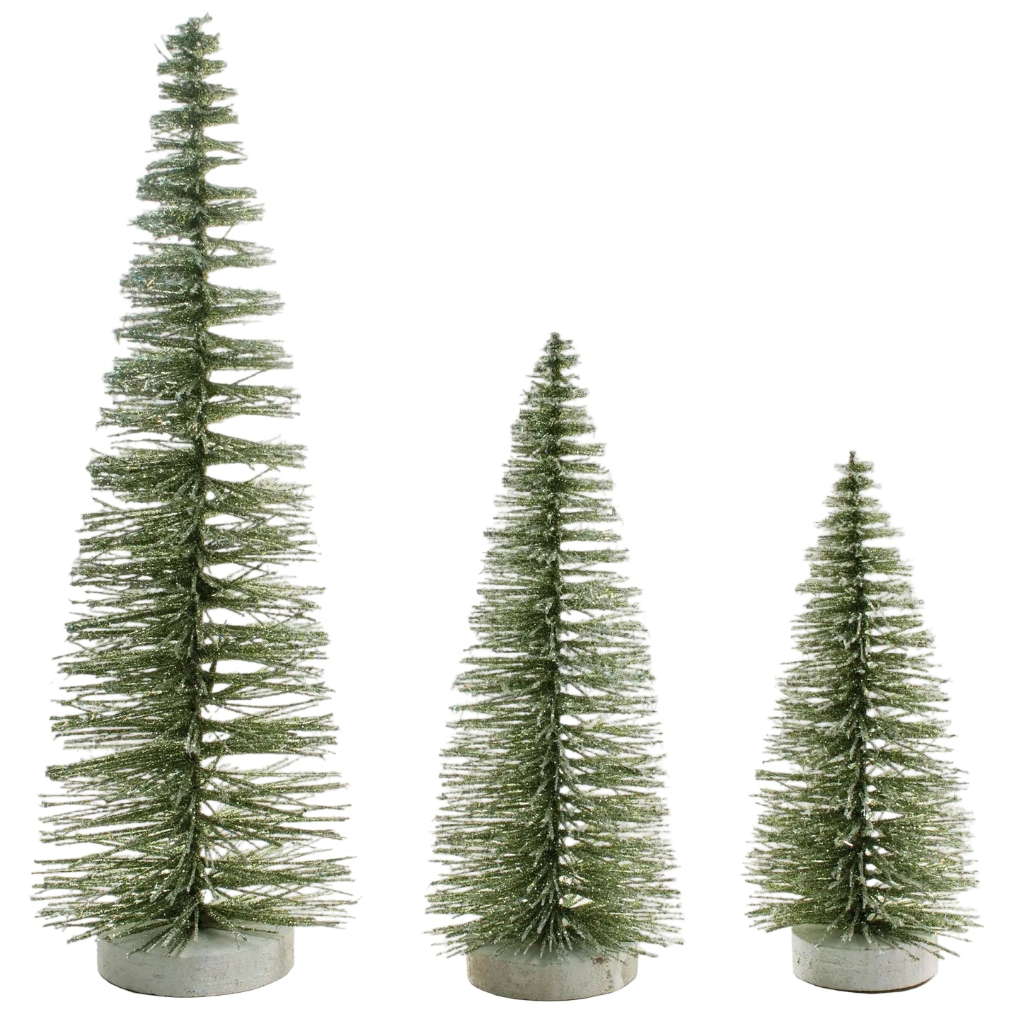 Set of 3 Moss Bristle Trees