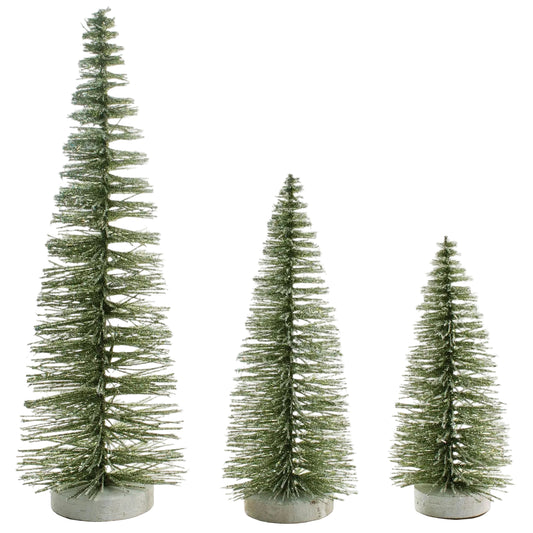 Set of 3 Moss Bristle Trees