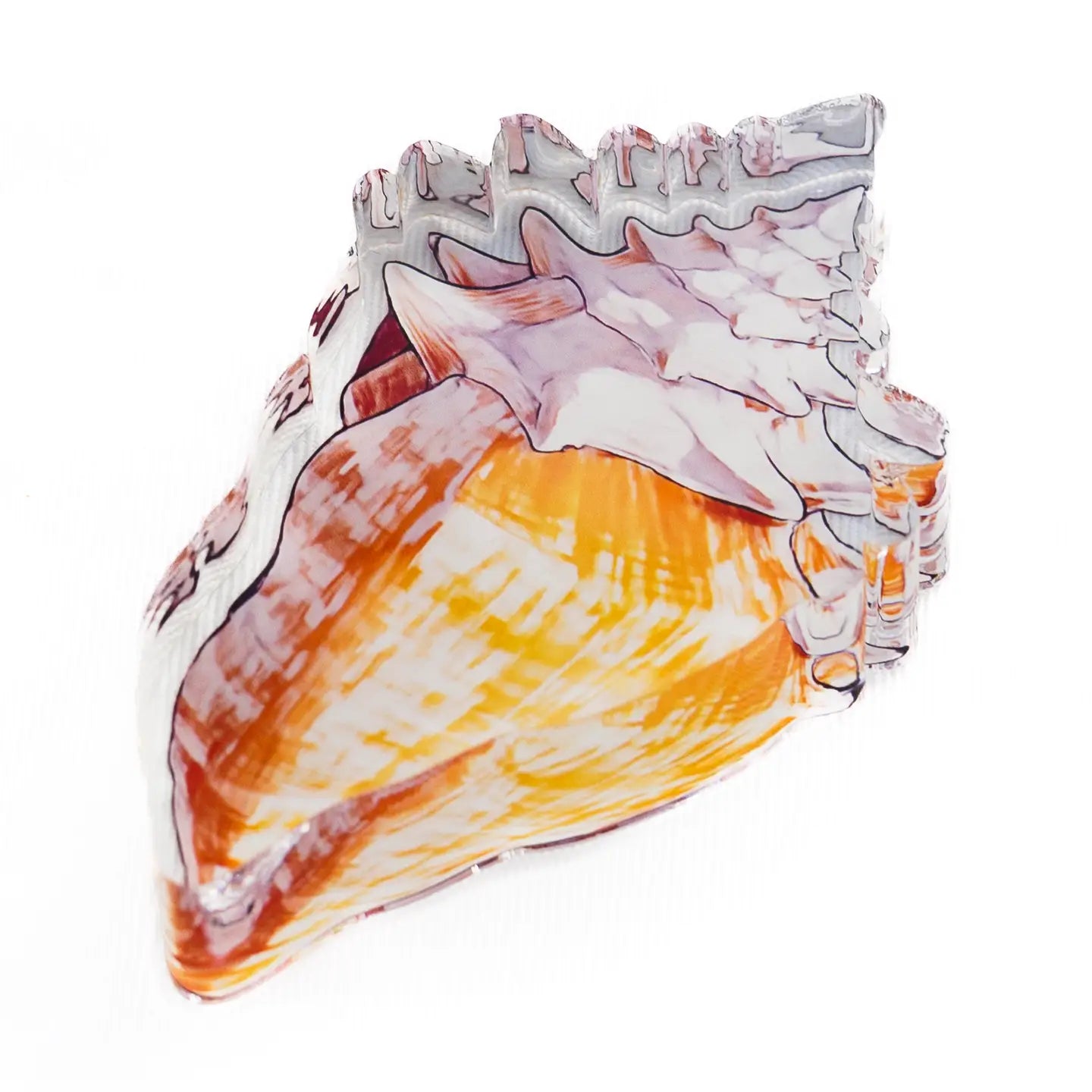 Shell Acrylic Napkin Weight